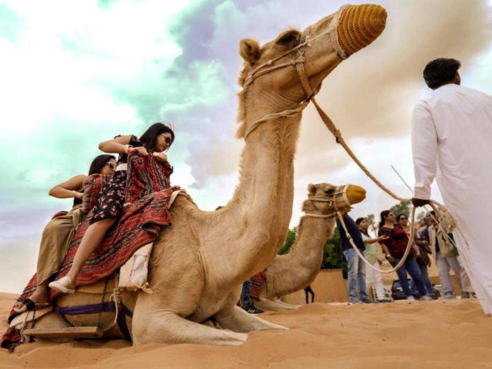 Bedouin Oasis Desert Camp- Ras Al Khaimah Bagian luar foto
