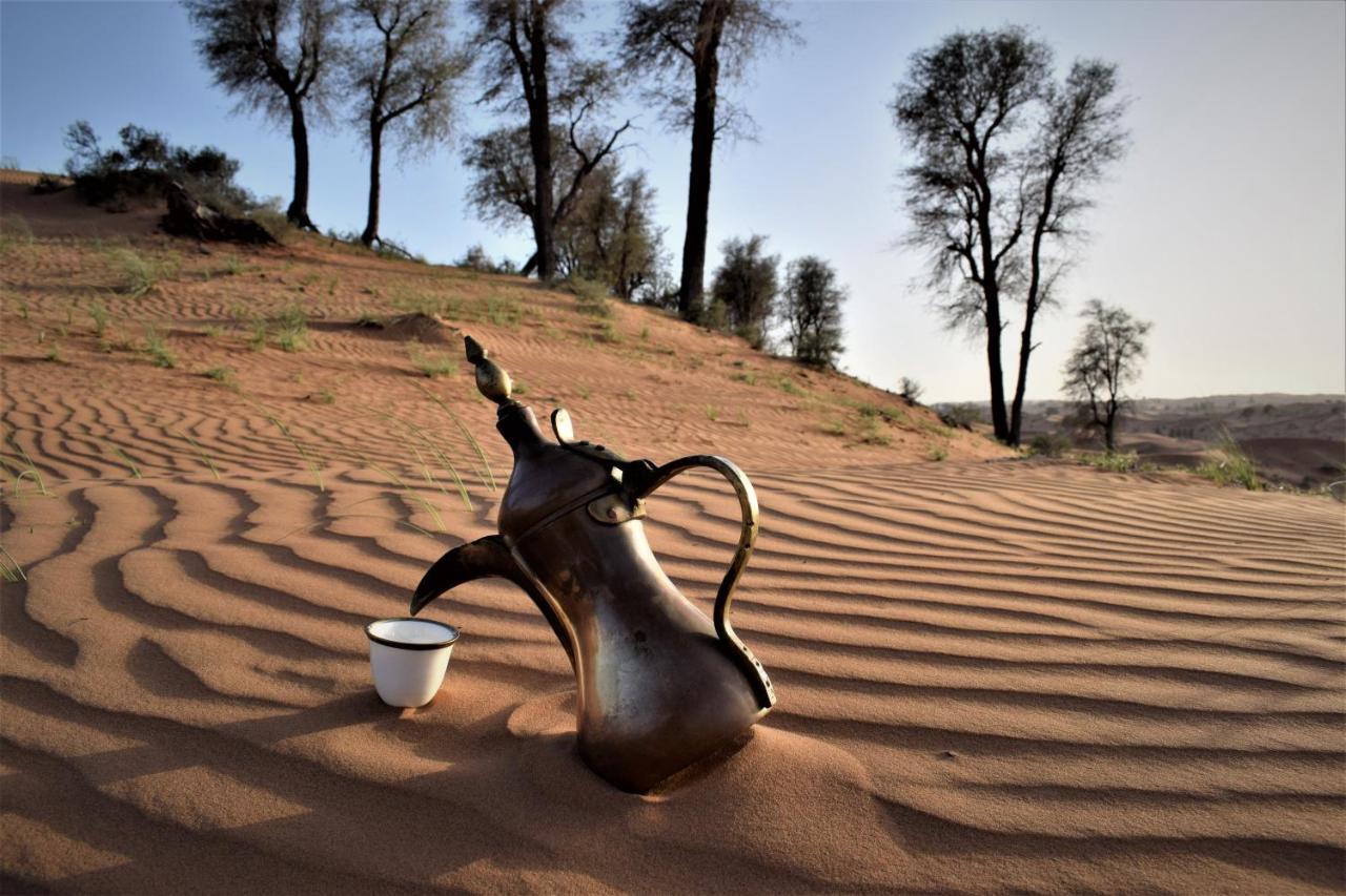 Bedouin Oasis Desert Camp- Ras Al Khaimah Bagian luar foto